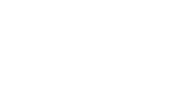 Si Long HO